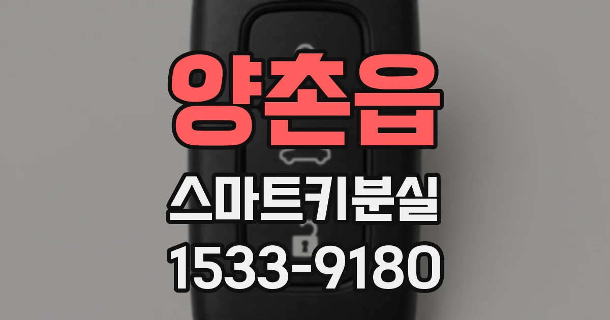 양촌읍 스마트키분실