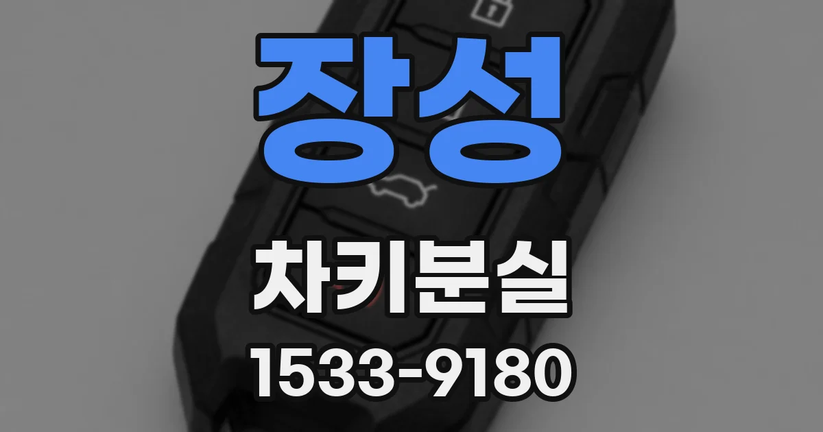 장성 차키분실