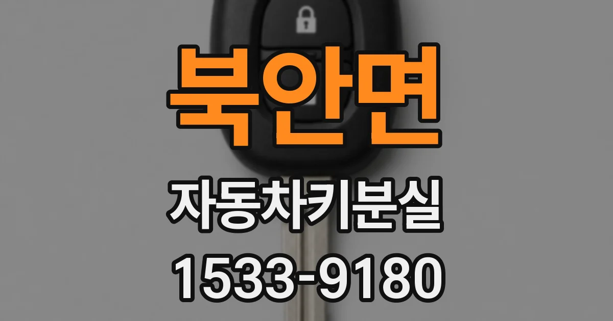 북안면 자동차키분실