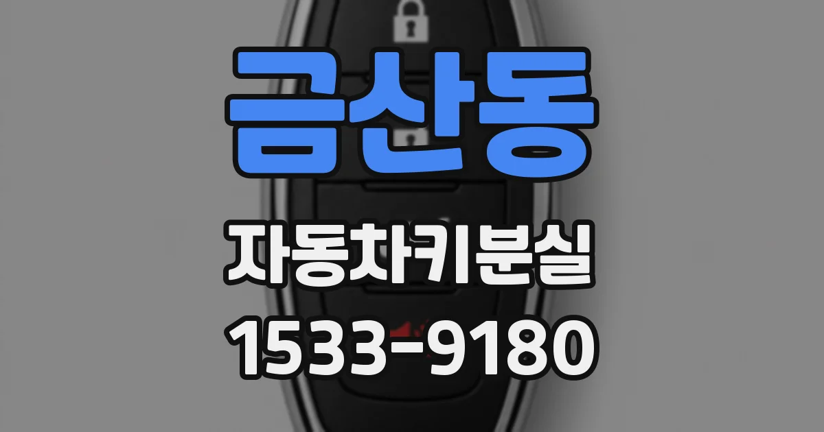 금산동 자동차키분실
