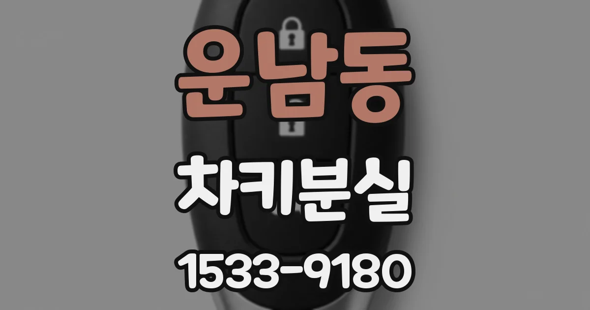 운남동 차키분실