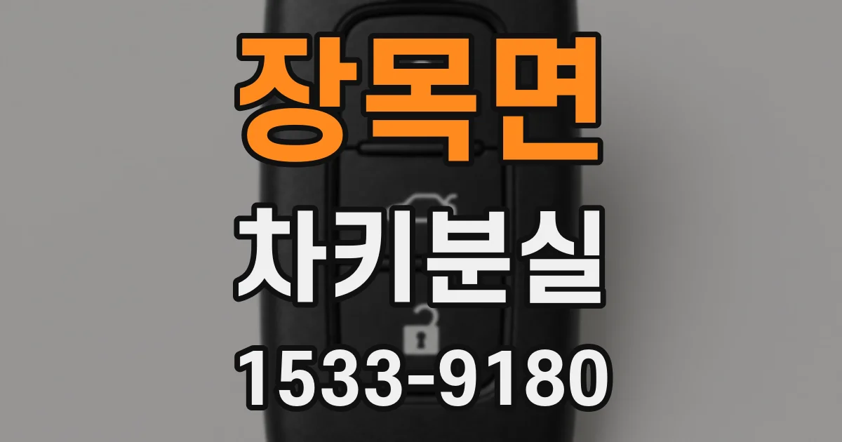 장목면 차키분실