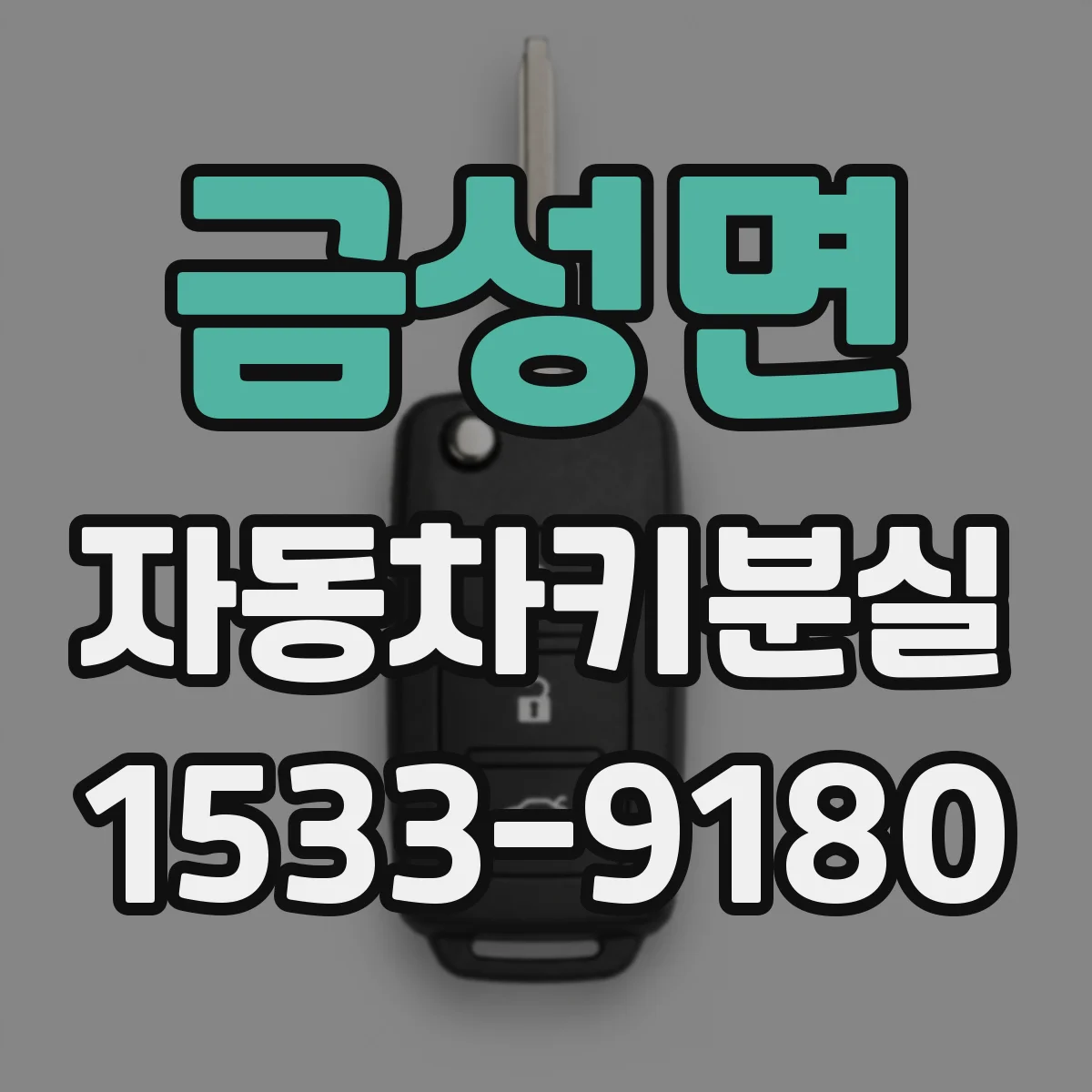 금성면 자동차키분실