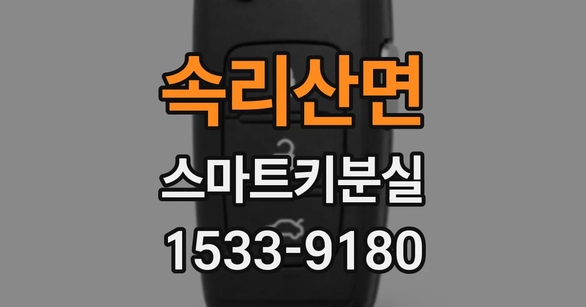 속리산면 스마트키분실