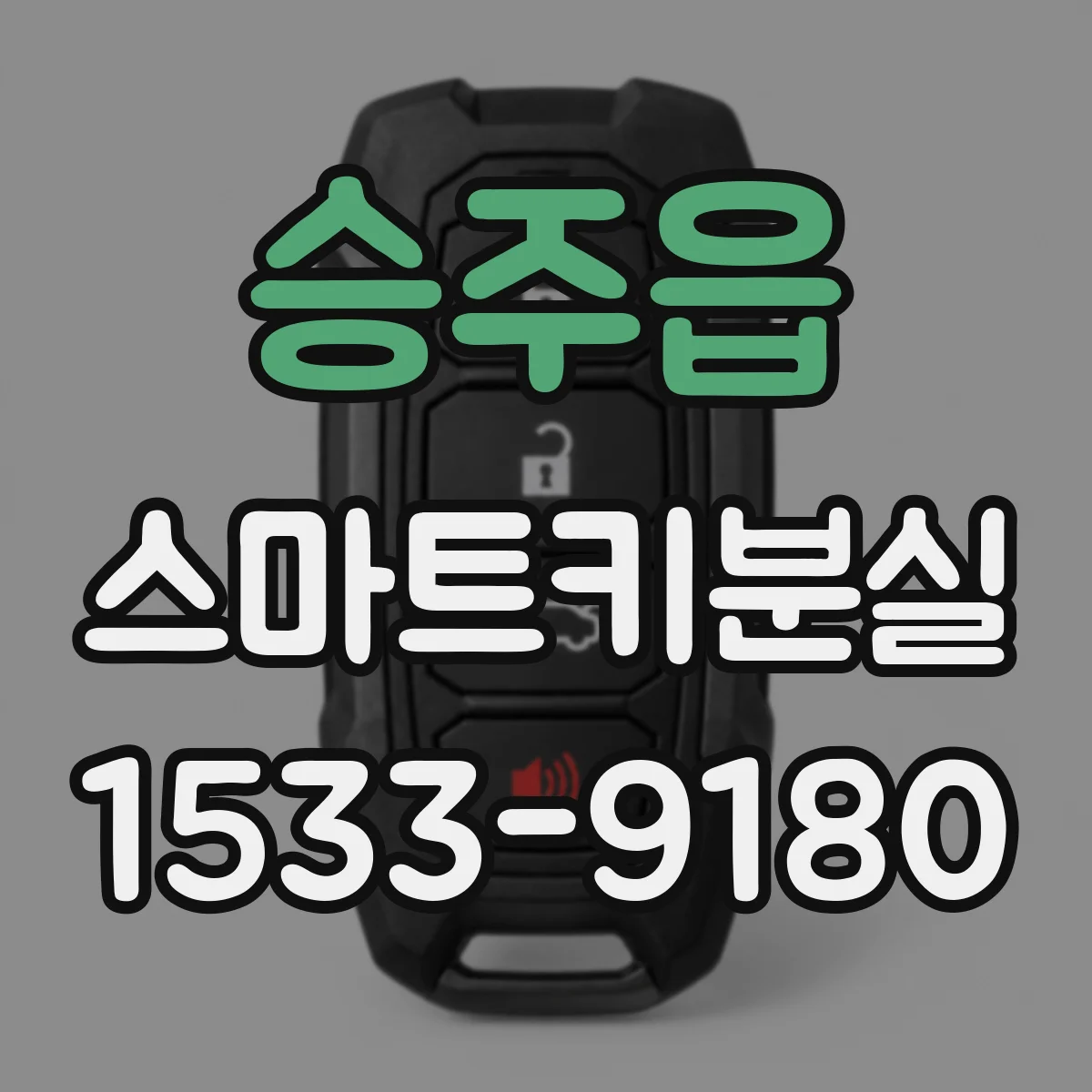 승주읍 스마트키분실