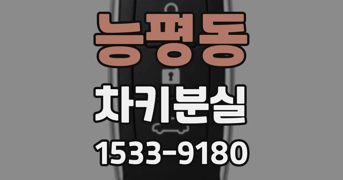능평동 차키분실