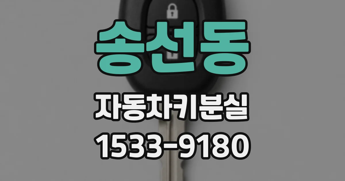 송선동 자동차키분실