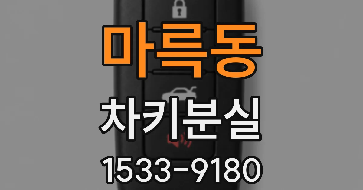 마륵동 차키분실