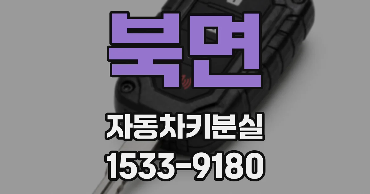 북면 자동차키분실