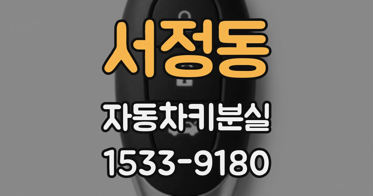서정동 자동차키분실