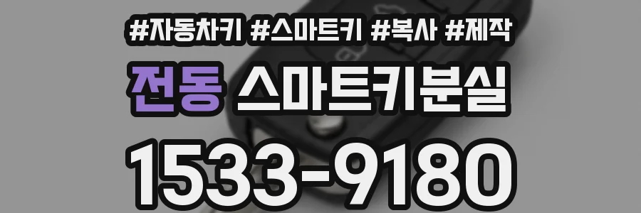 전동 스마트키분실