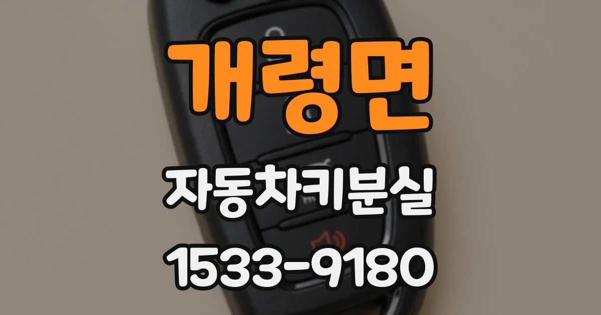 개령면 자동차키분실