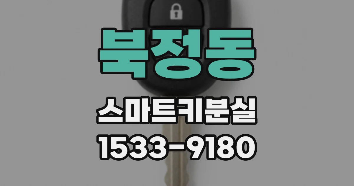 북정동 스마트키분실