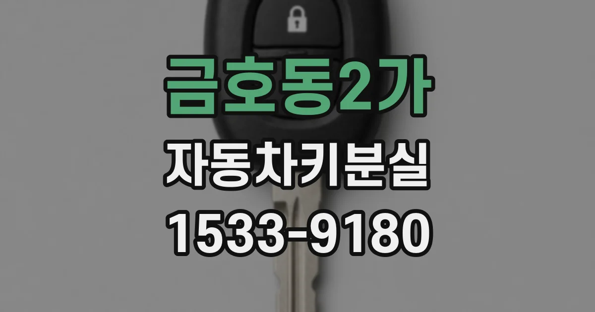 금호동2가 자동차키분실