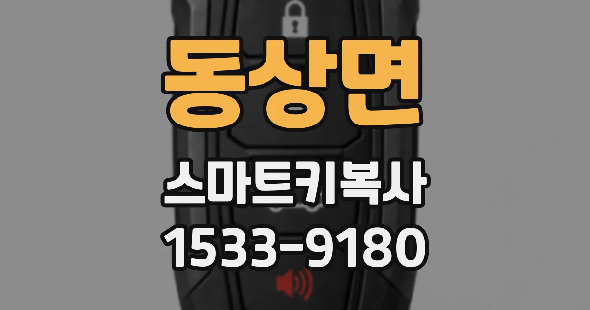 동상면 스마트키복사
