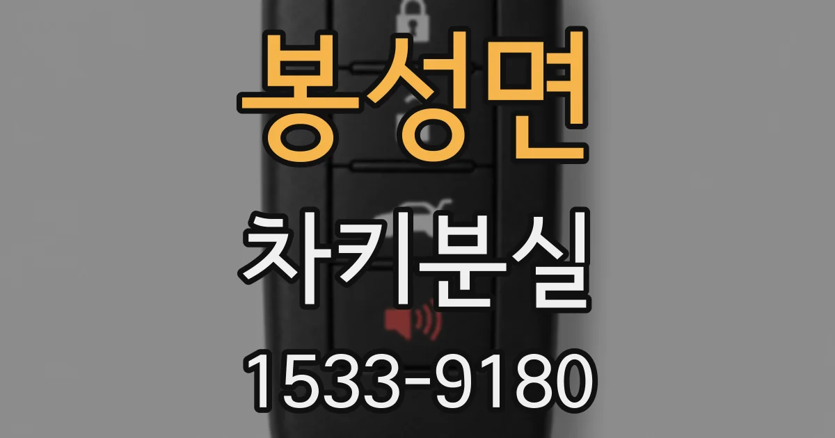 봉성면 차키분실