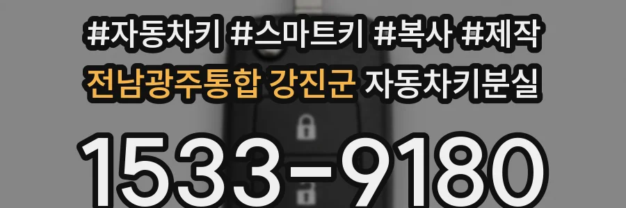 전남광주통합 강진군 자동차키분실