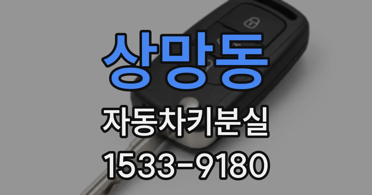 상망동 자동차키분실