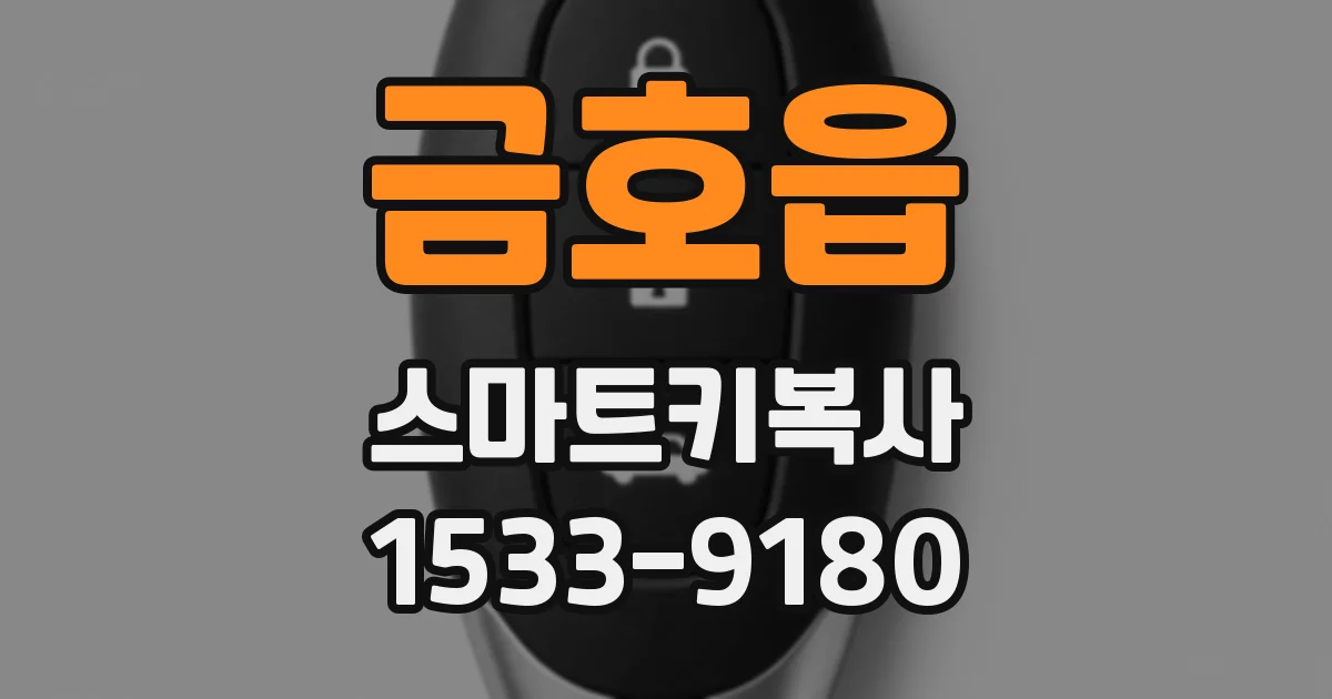 금호읍 스마트키복사