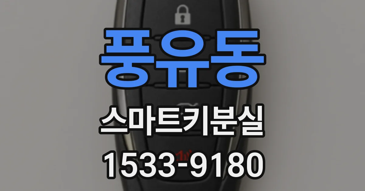 풍유동 스마트키분실