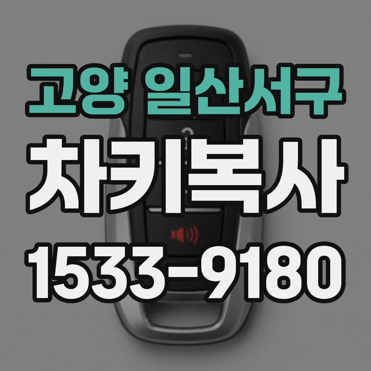 고양 일산서구 차키복사