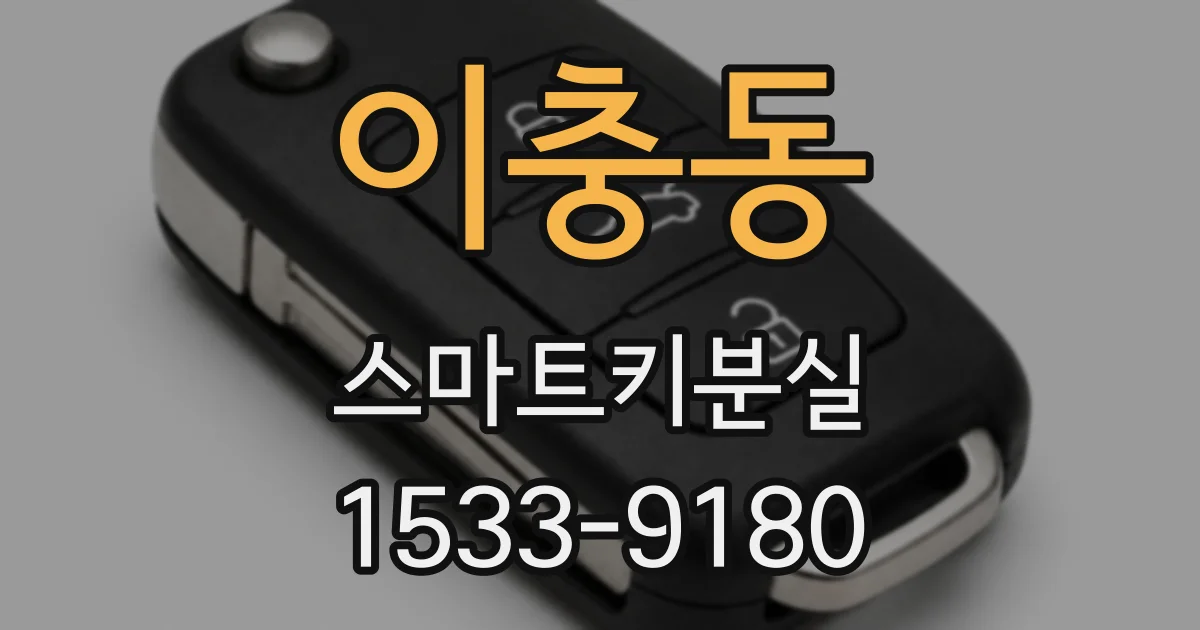 이충동 스마트키분실