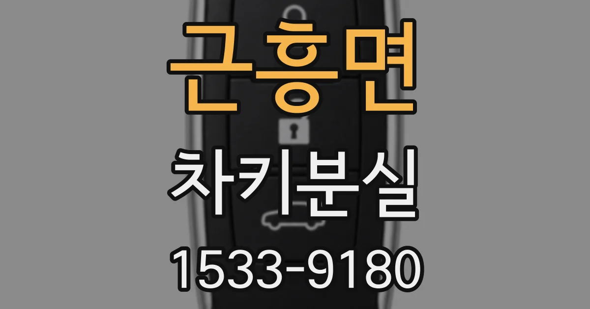근흥면 차키분실