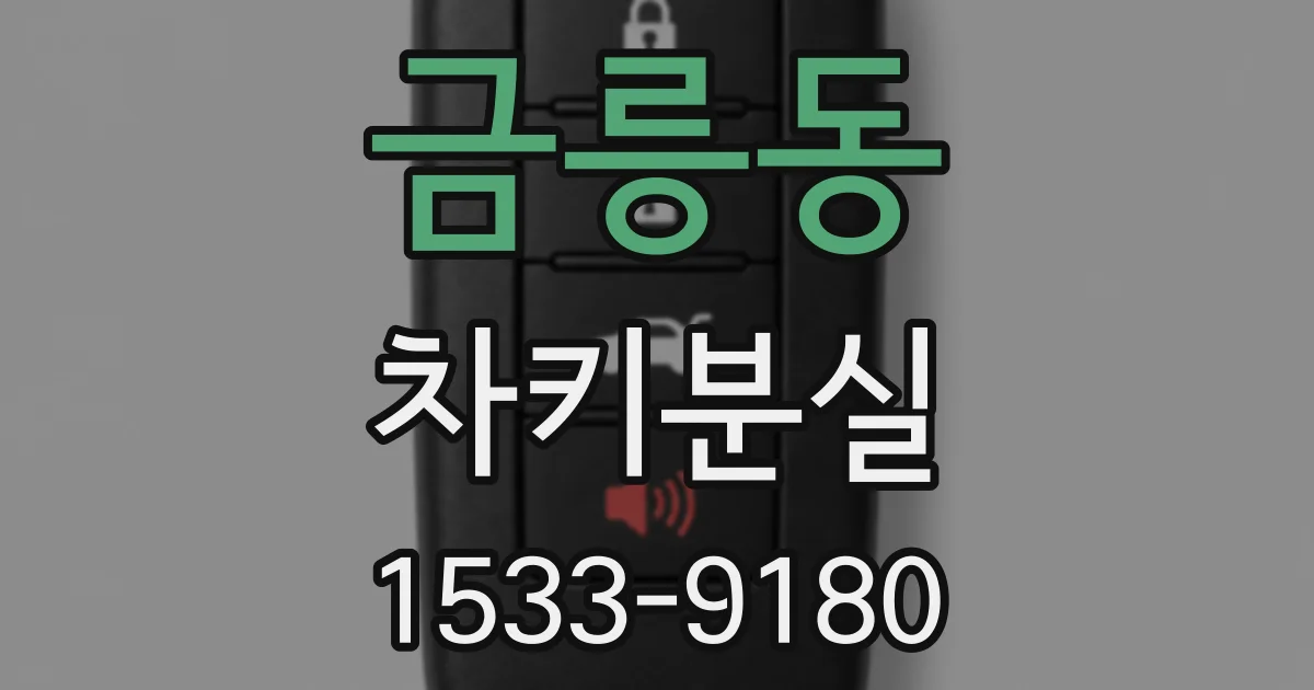 금릉동 차키분실