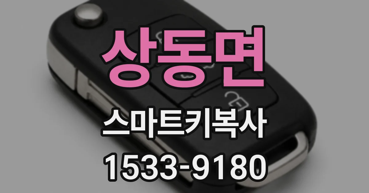 상동면 스마트키복사