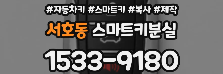 서호동 스마트키분실