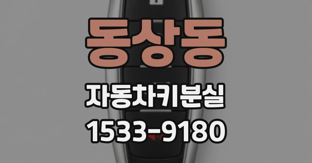 동상동 자동차키분실