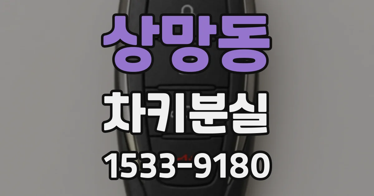 상망동 차키분실