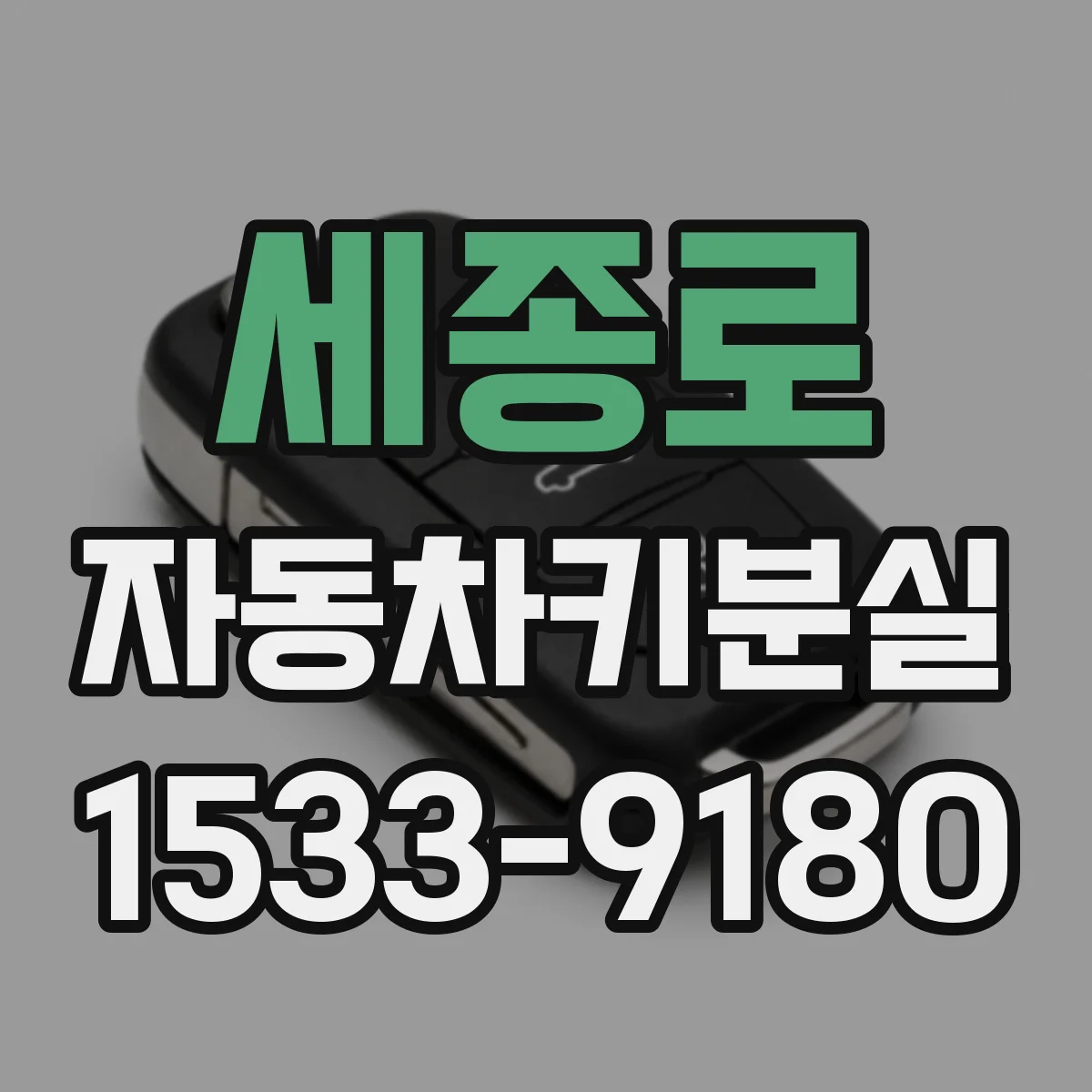 세종로 자동차키분실