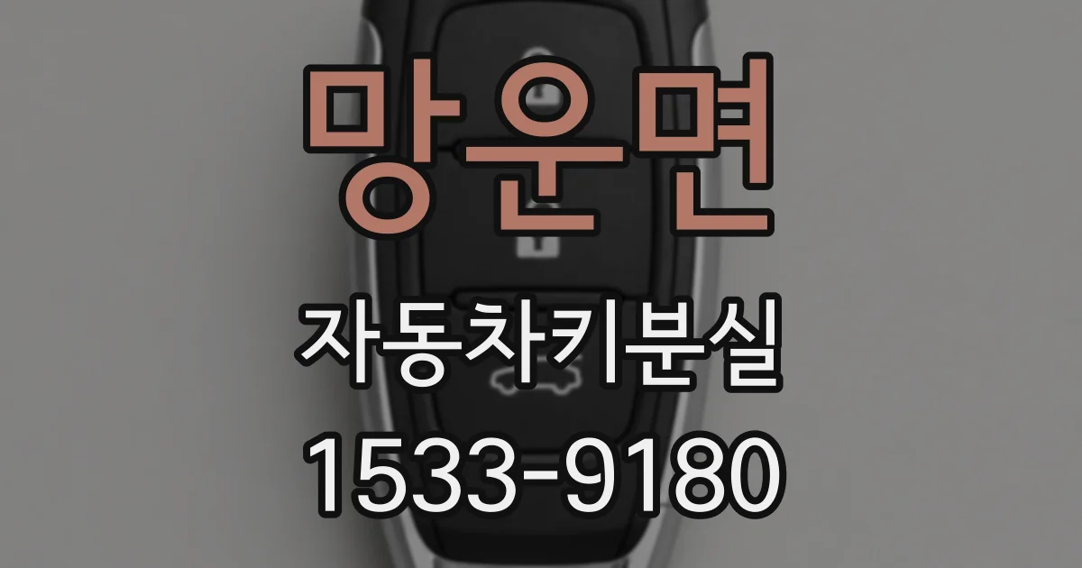 망운면 자동차키분실