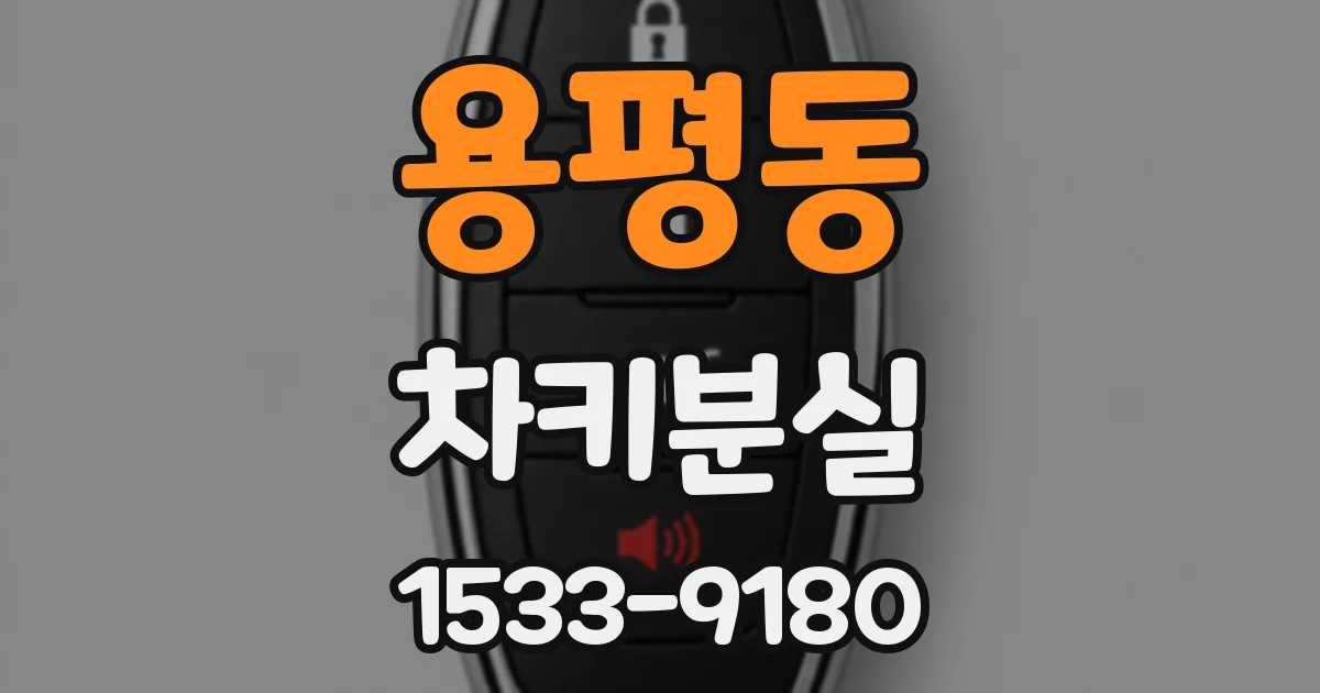 용평동 차키분실