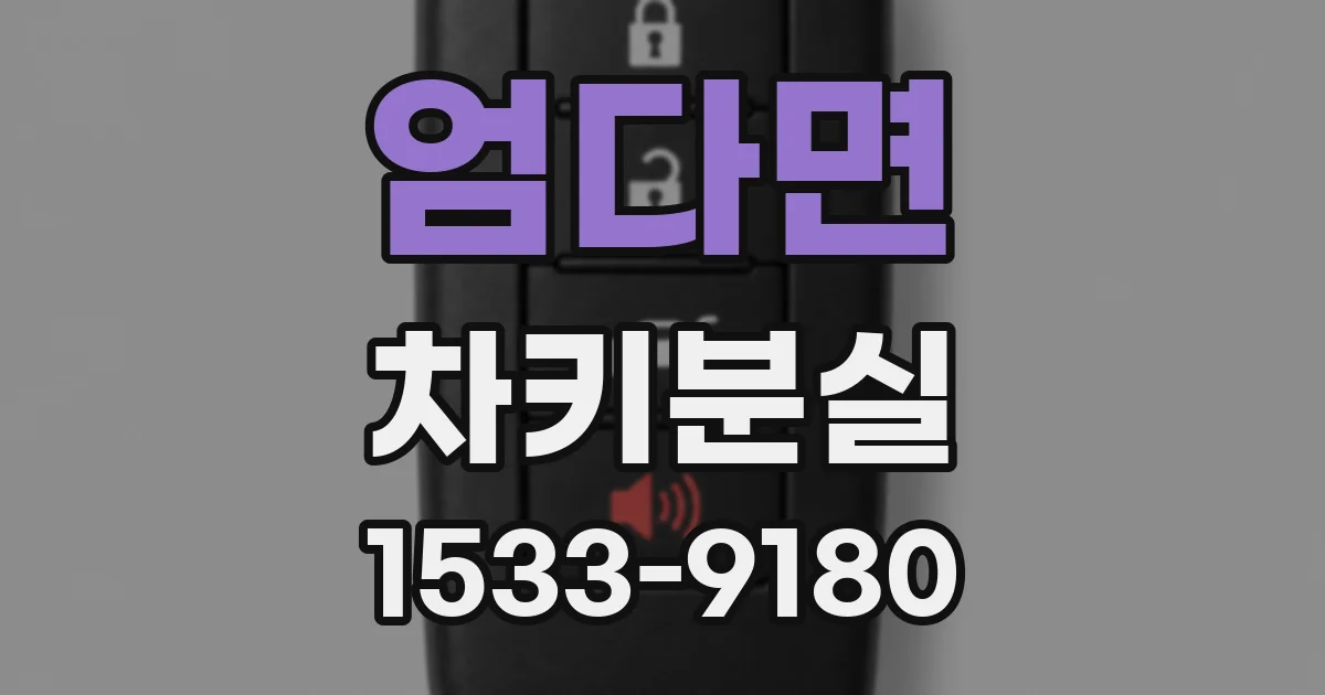 엄다면 차키분실