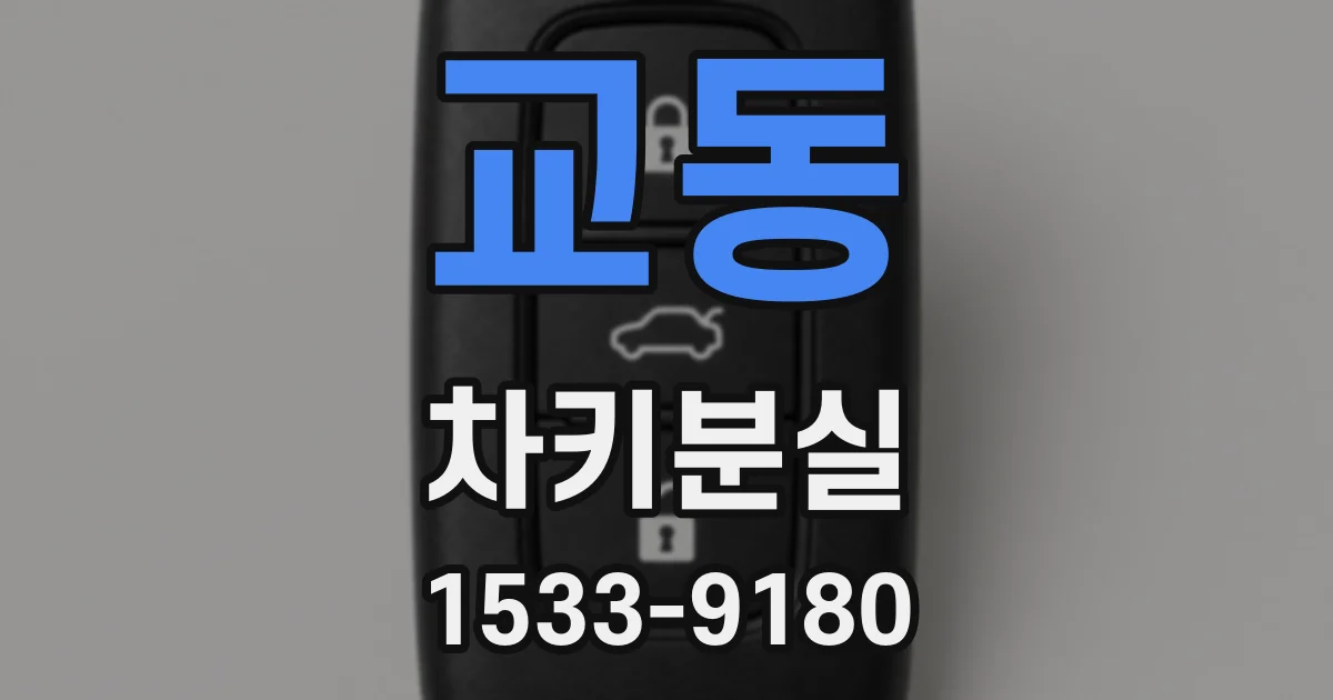 교동 차키분실