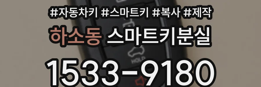 하소동 스마트키분실