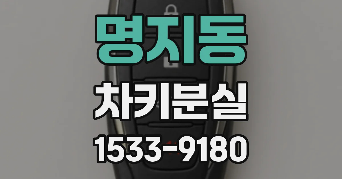 명지동 차키분실