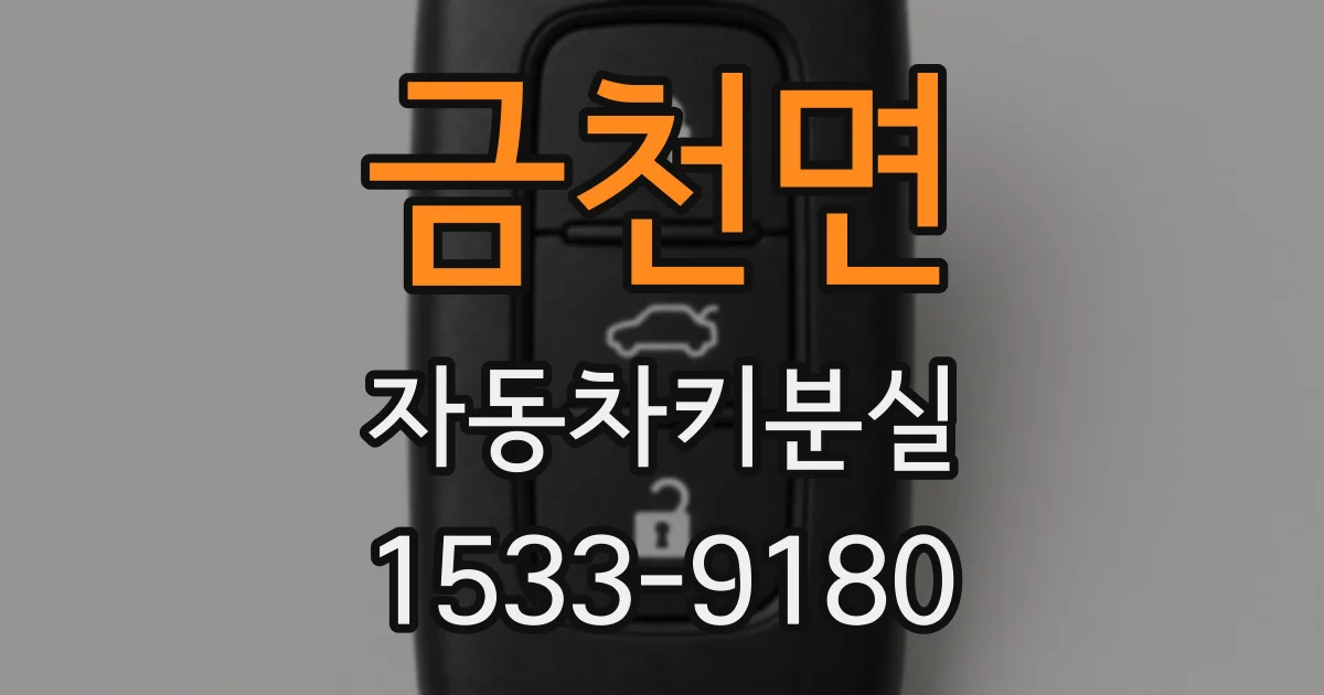 금천면 자동차키분실