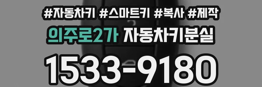 의주로2가 자동차키분실