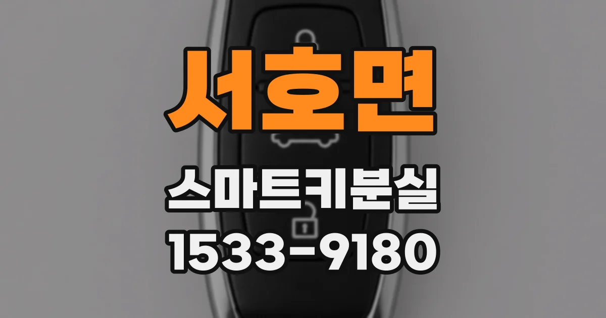 서호면 스마트키분실