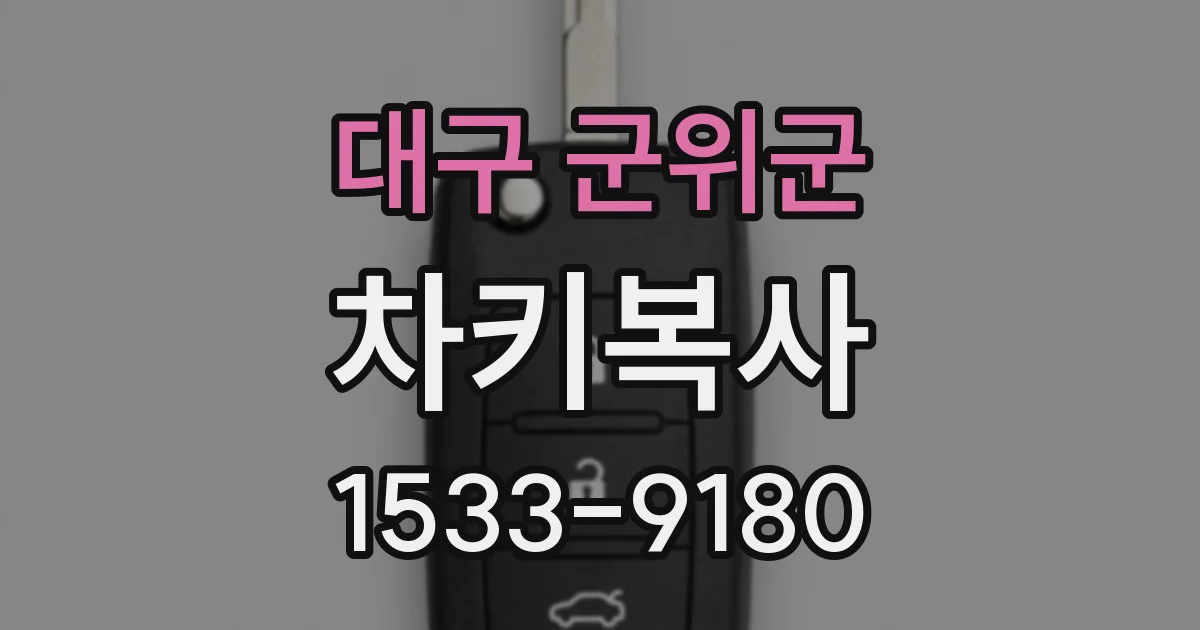 대구 군위군 차키복사