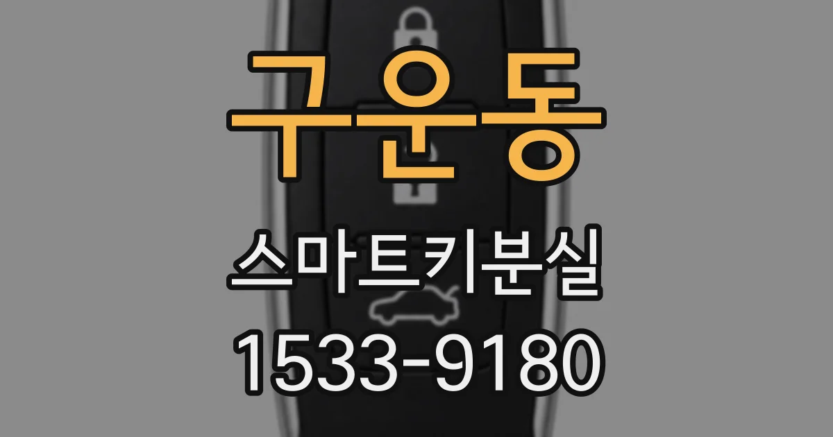 구운동 스마트키분실