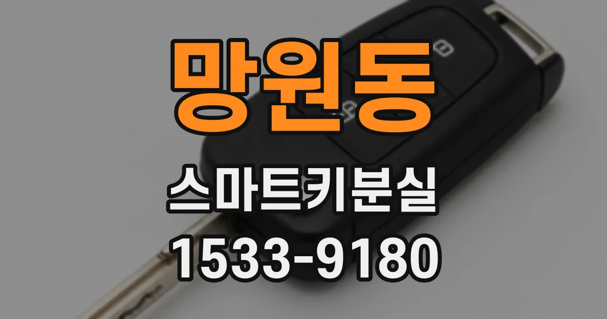 망원동 스마트키분실