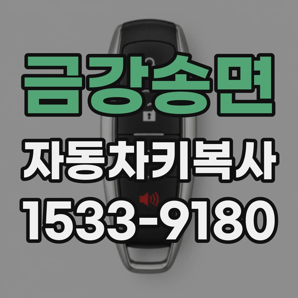 금강송면 자동차키복사