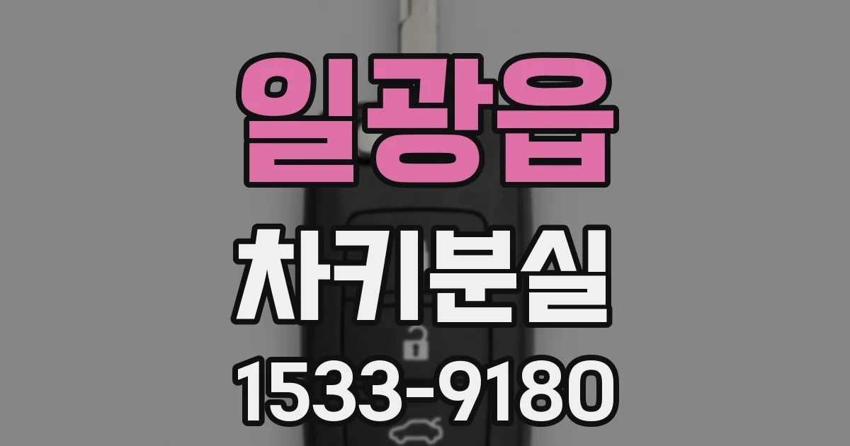 일광읍 차키분실