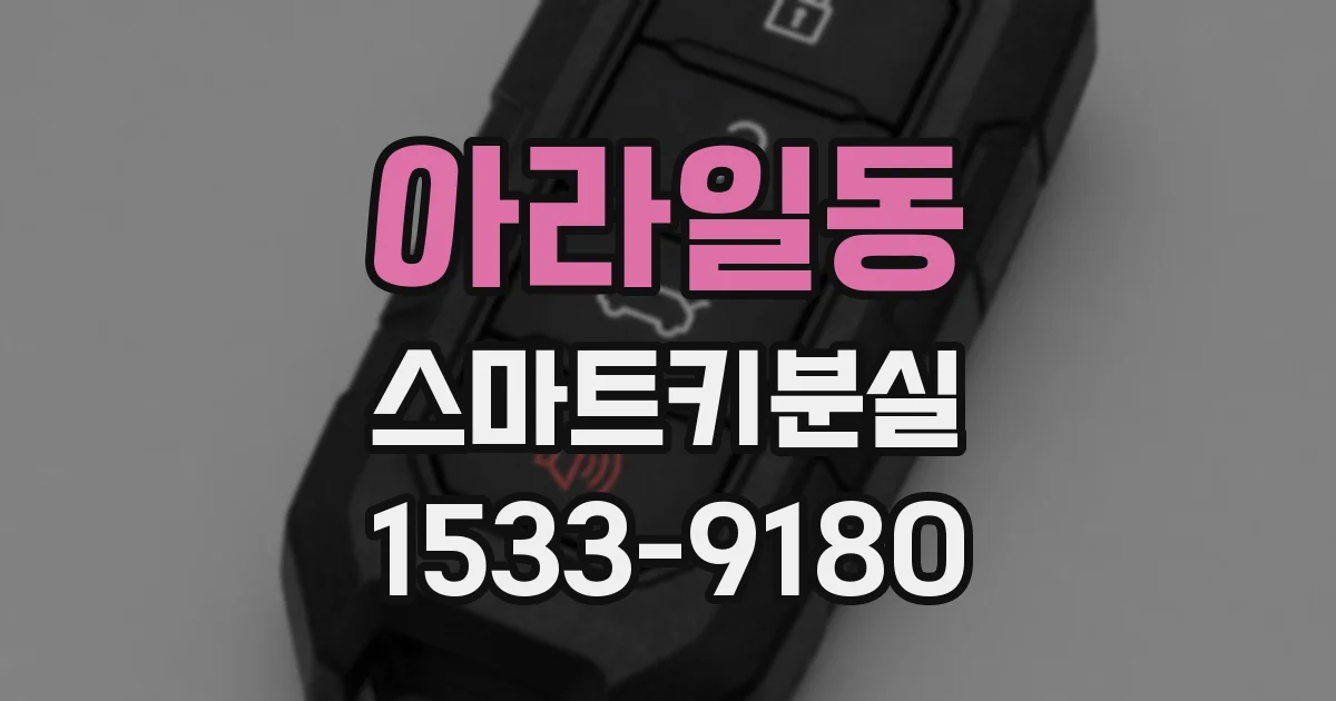아라일동 스마트키분실