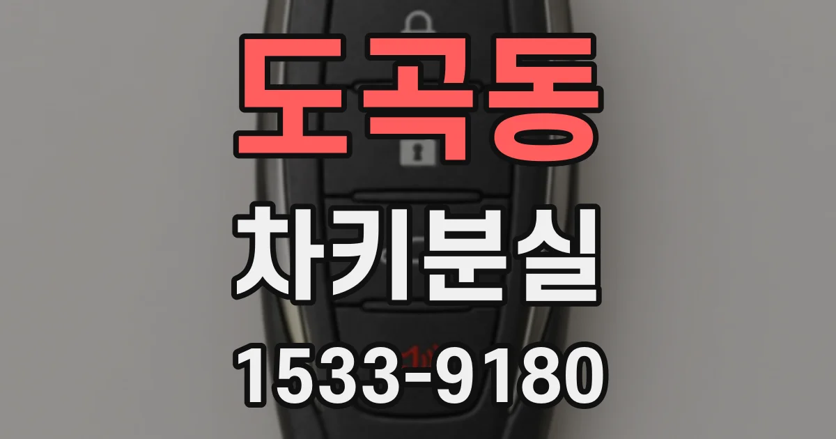 도곡동 차키분실