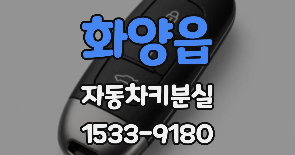 화양읍 자동차키분실